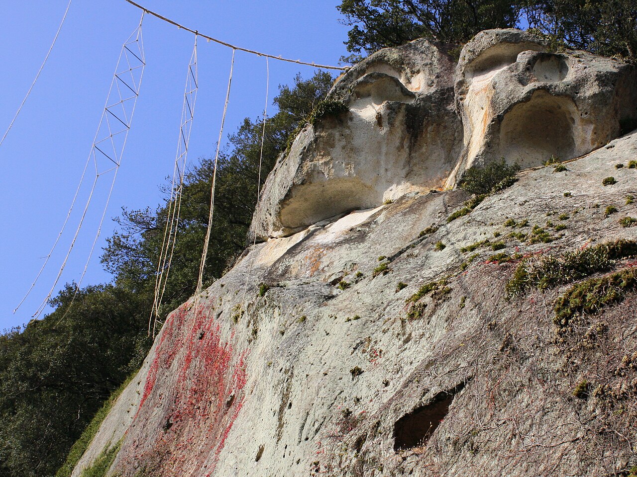 御綱掛け神事で岩にかけられた綱と旗