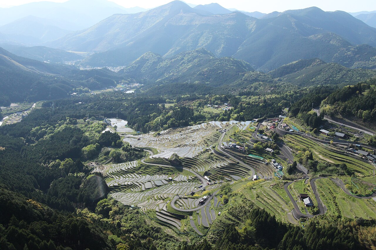 春の丸山千枚田と山なみ