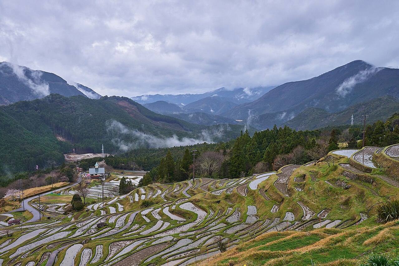 くもり空の下の丸山千枚田