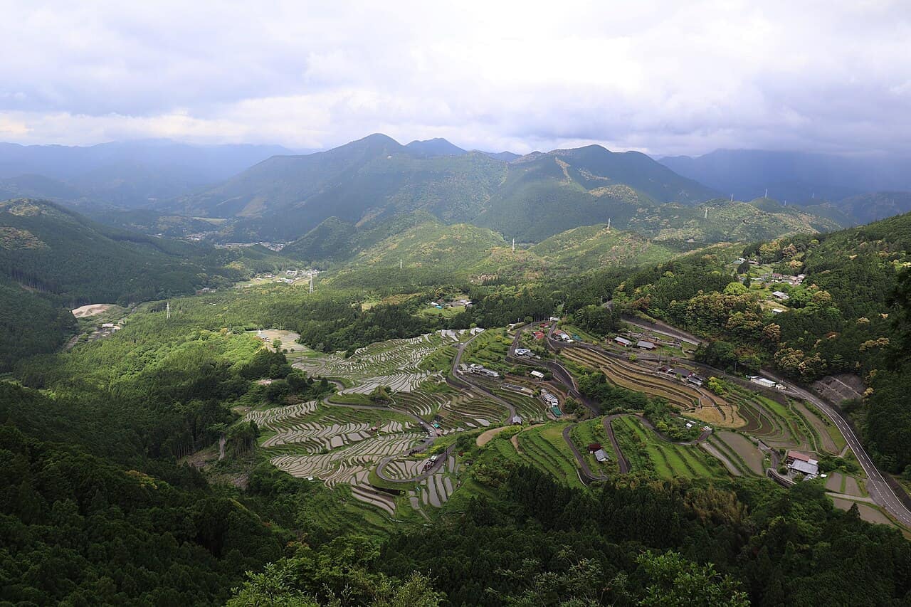 山の斜面に小さな田んぼが重なる丸山千枚田