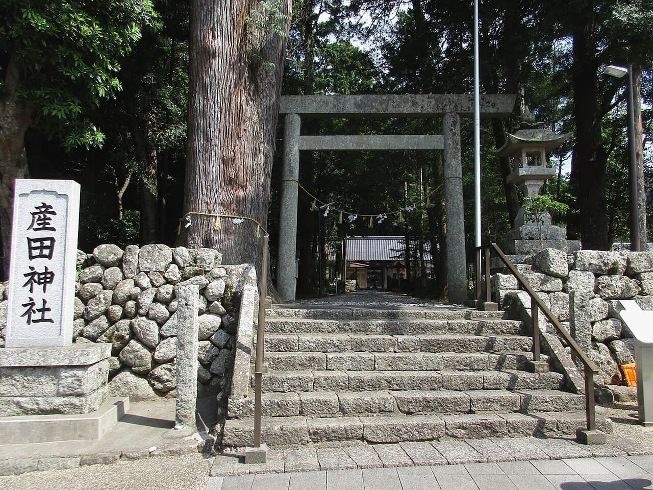 産田神社の鳥居と石段、大きな木